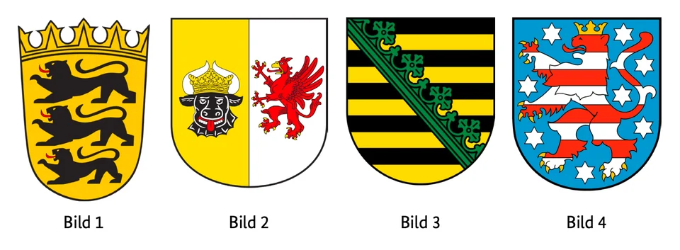 Bild zu Frage 1